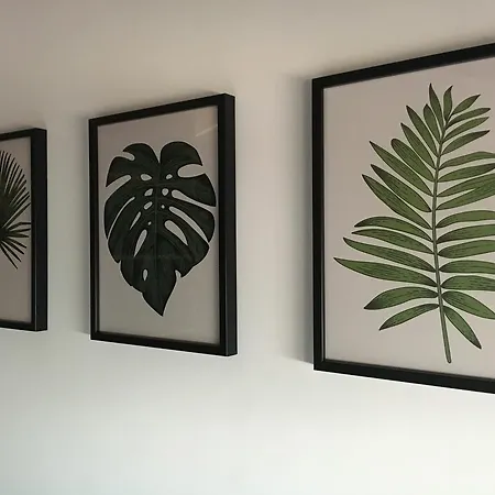Apartment Valentina Valldigna *